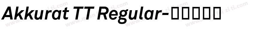 Akkurat TT Regular字体转换